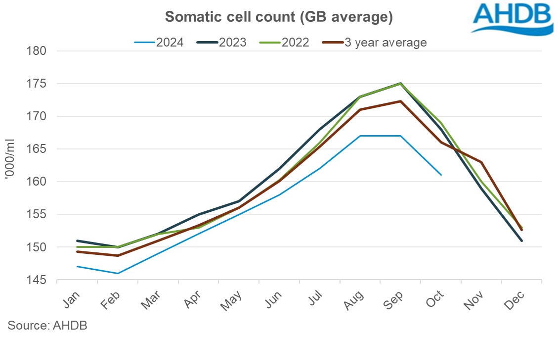 SCC graph October 2024.